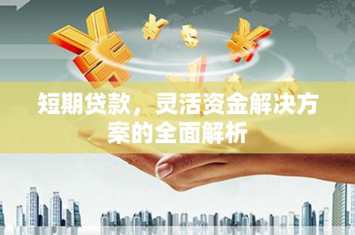 故城短期贷款，灵活资金解决方案的全面解析