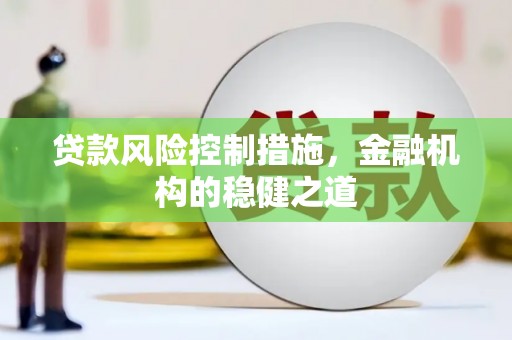故城贷款风险控制措施，金融机构的稳健之道