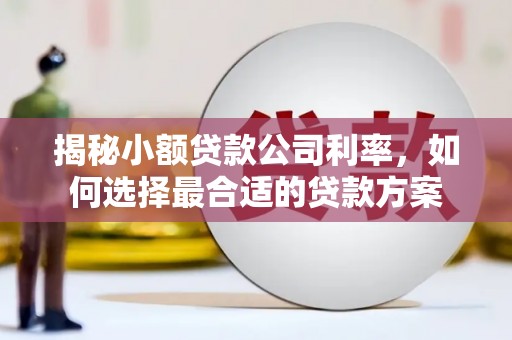 故城揭秘小额贷款公司利率，如何选择最合适的贷款方案