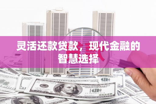故城灵活还款贷款，现代金融的智慧选择