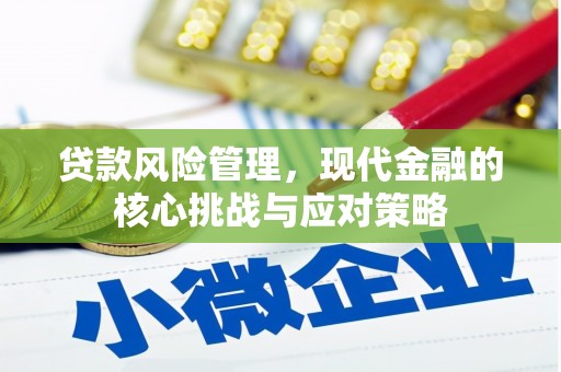 故城贷款风险管理，现代金融的核心挑战与应对策略
