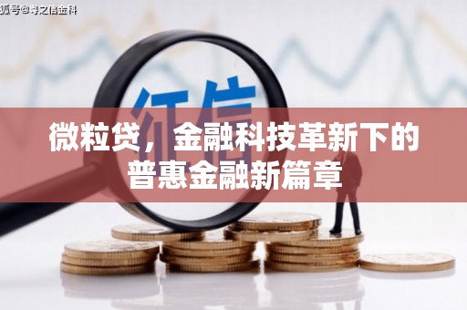 故城微粒贷，金融科技革新下的普惠金融新篇章