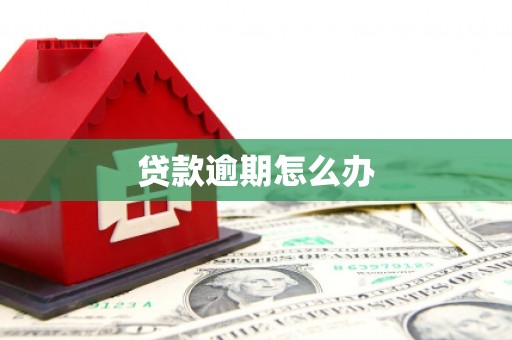 故城贷款逾期怎么办