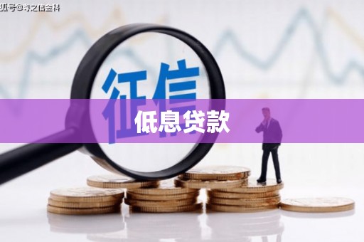 故城低息贷款