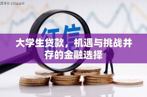 故城大学生贷款，机遇与挑战并存的金融选择