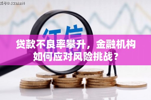 故城贷款不良率攀升，金融机构如何应对风险挑战？