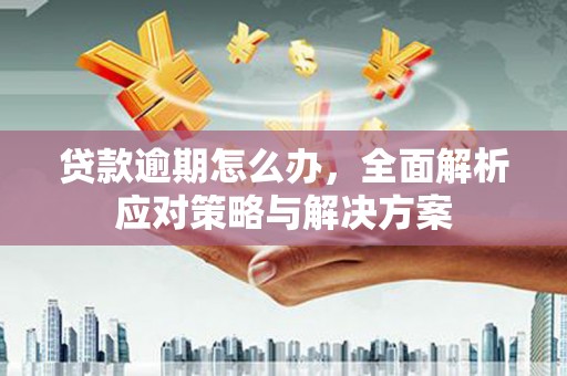 故城贷款逾期怎么办，全面解析应对策略与解决方案