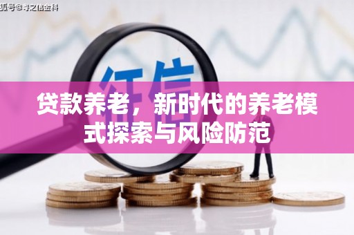故城贷款养老，新时代的养老模式探索与风险防范