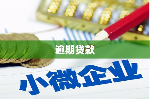 故城逾期贷款